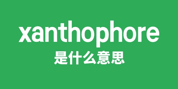 xanthophore是什么意思