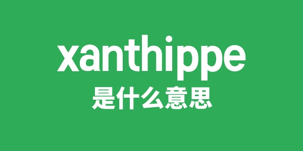 xanthippe是什么意思