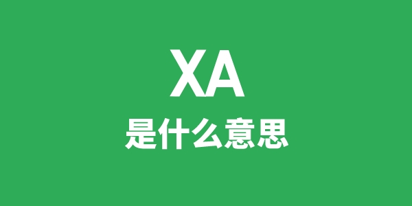 XA是什么意思