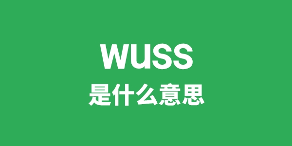 wuss是什么意思