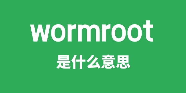 wormroot是什么意思