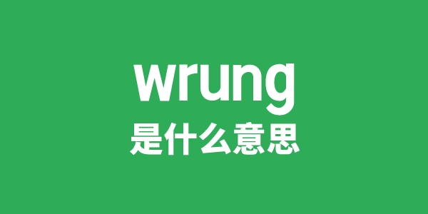 wrung是什么意思