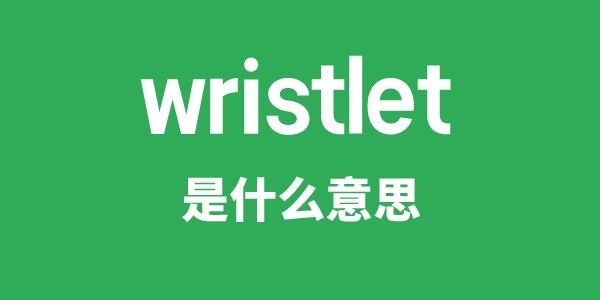 wristlet是什么意思