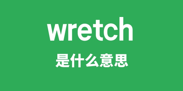 wretch是什么意思