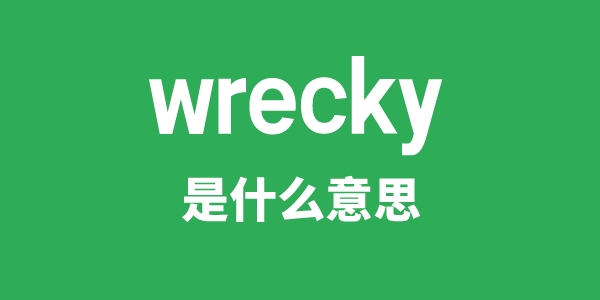 wrecky是什么意思