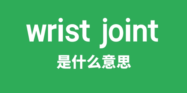 wrist joint是什么意思