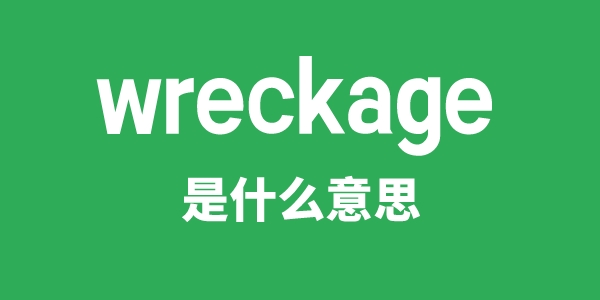 wreckage是什么意思