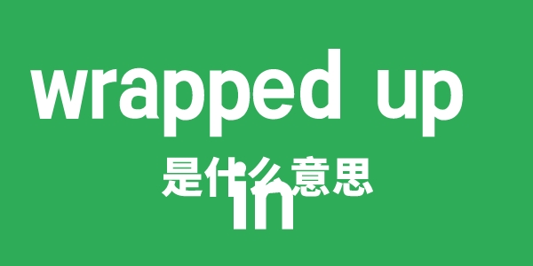 wrapped up in是什么意思