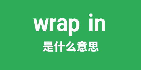 wrap in是什么意思