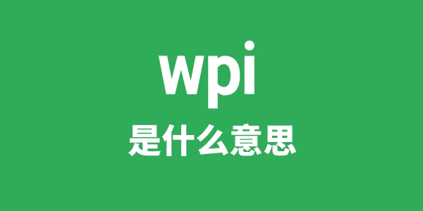 wpi是什么意思