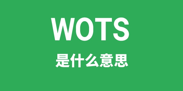 WOTS是什么意思