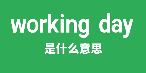 working day是什么意思