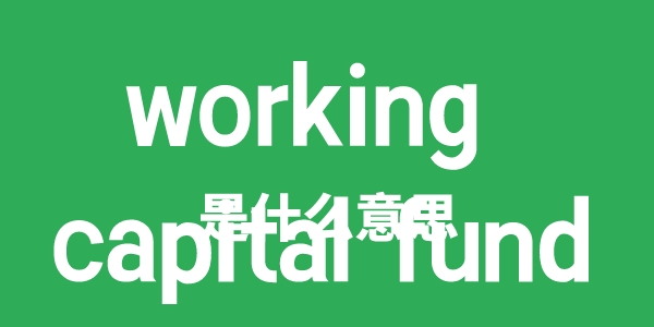 working capital fund是什么意思