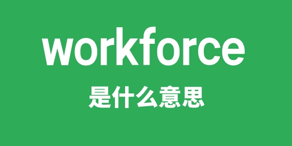 workforce是什么意思