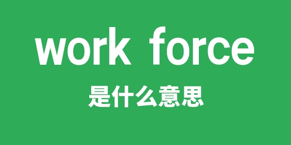 work force是什么意思