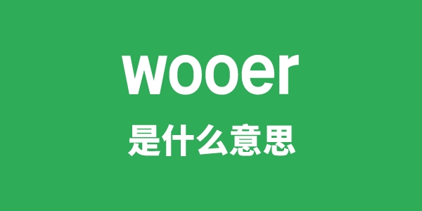 wooer是什么意思