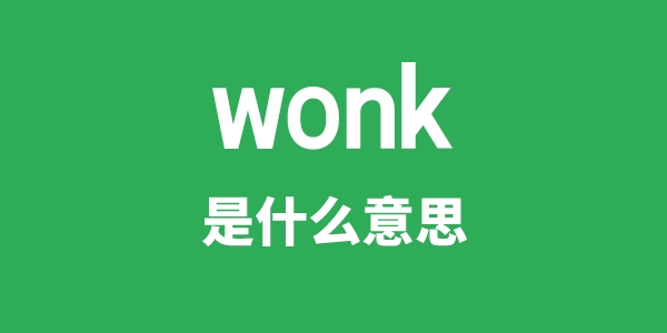 wonk是什么意思