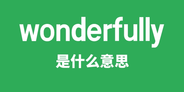 wonderfully是什么意思