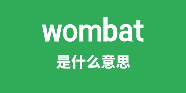 wombat是什么意思