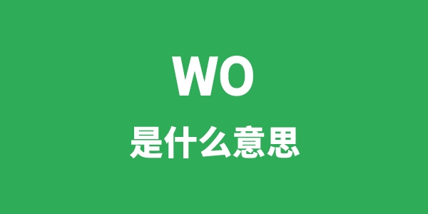 wo是什么意思