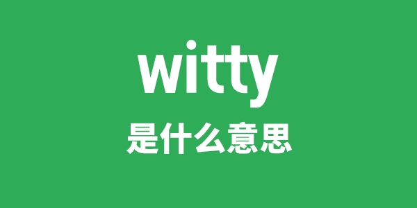 witty是什么意思