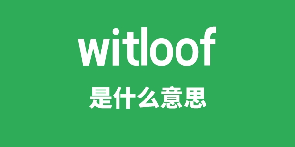 witloof是什么意思