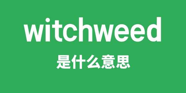 witchweed是什么意思