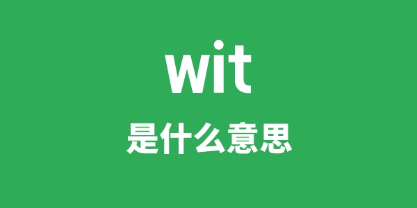 wit是什么意思