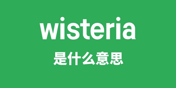 wisteria是什么意思