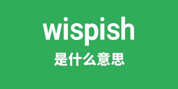 wispish是什么意思