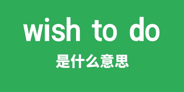 wish to do是什么意思