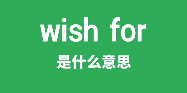 wish for是什么意思