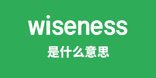 wiseness是什么意思