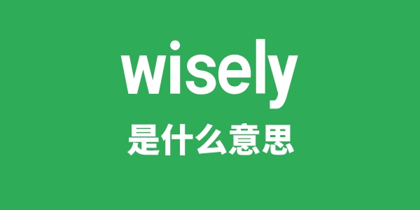 wisely是什么意思