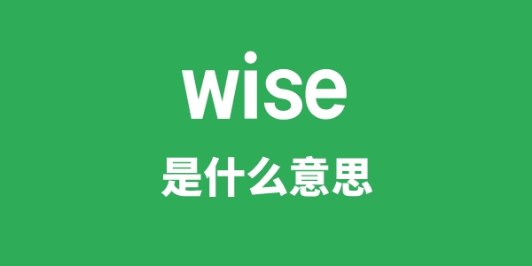 wise是什么意思