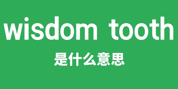 wisdom tooth是什么意思