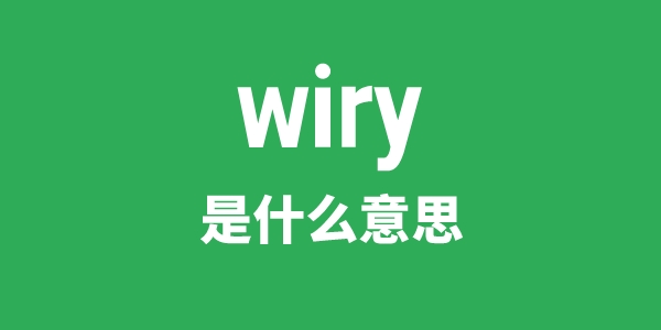 wiry是什么意思