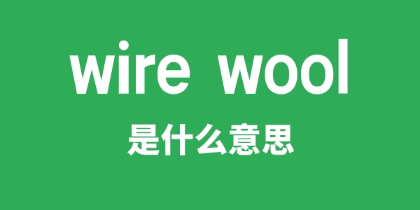 wire wool是什么意思