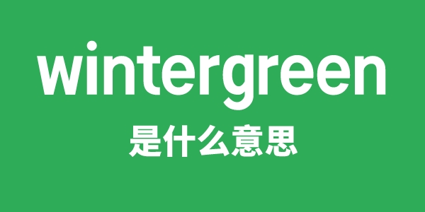 wintergreen是什么意思