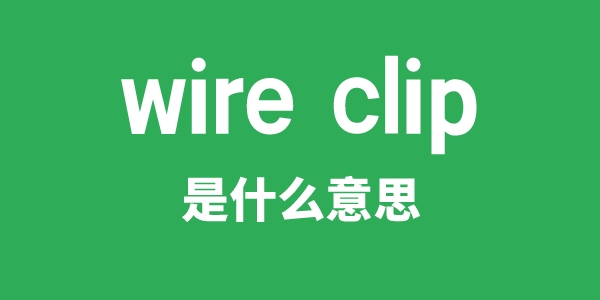 wire clip是什么意思