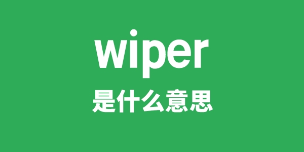 wiper是什么意思