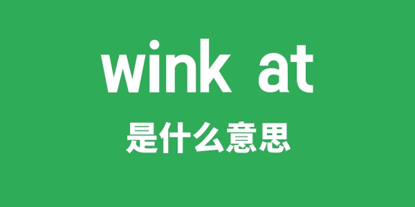 wink at是什么意思