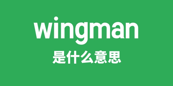 wingman是什么意思