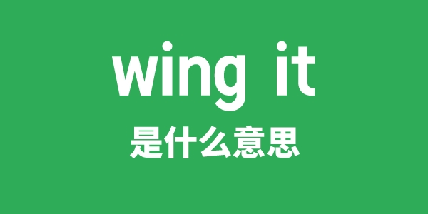 wing it是什么意思