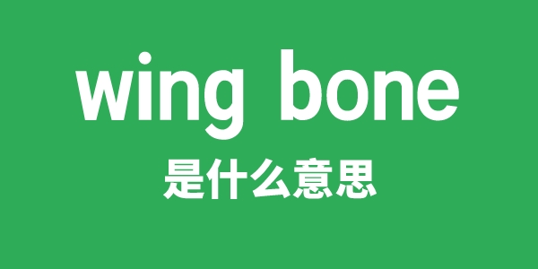 wing bone是什么意思