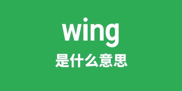 wing是什么意思