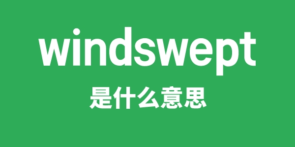 windswept是什么意思