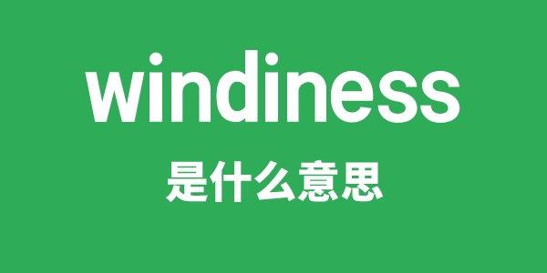 windiness是什么意思