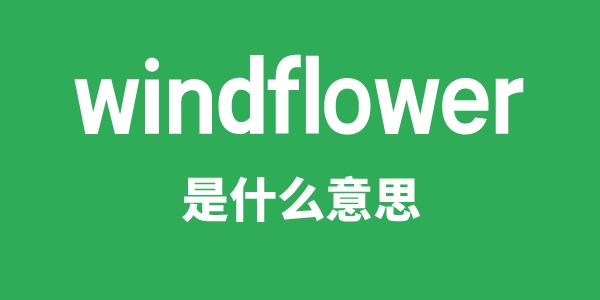 windflower是什么意思