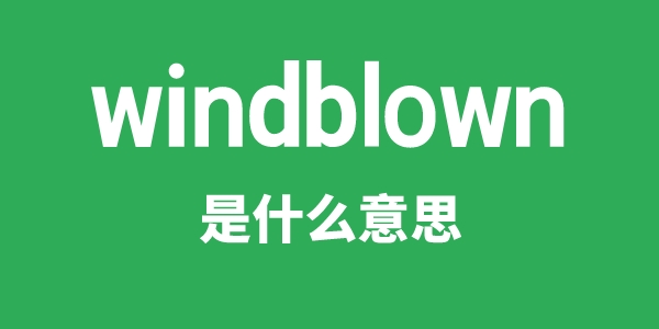 windblown是什么意思